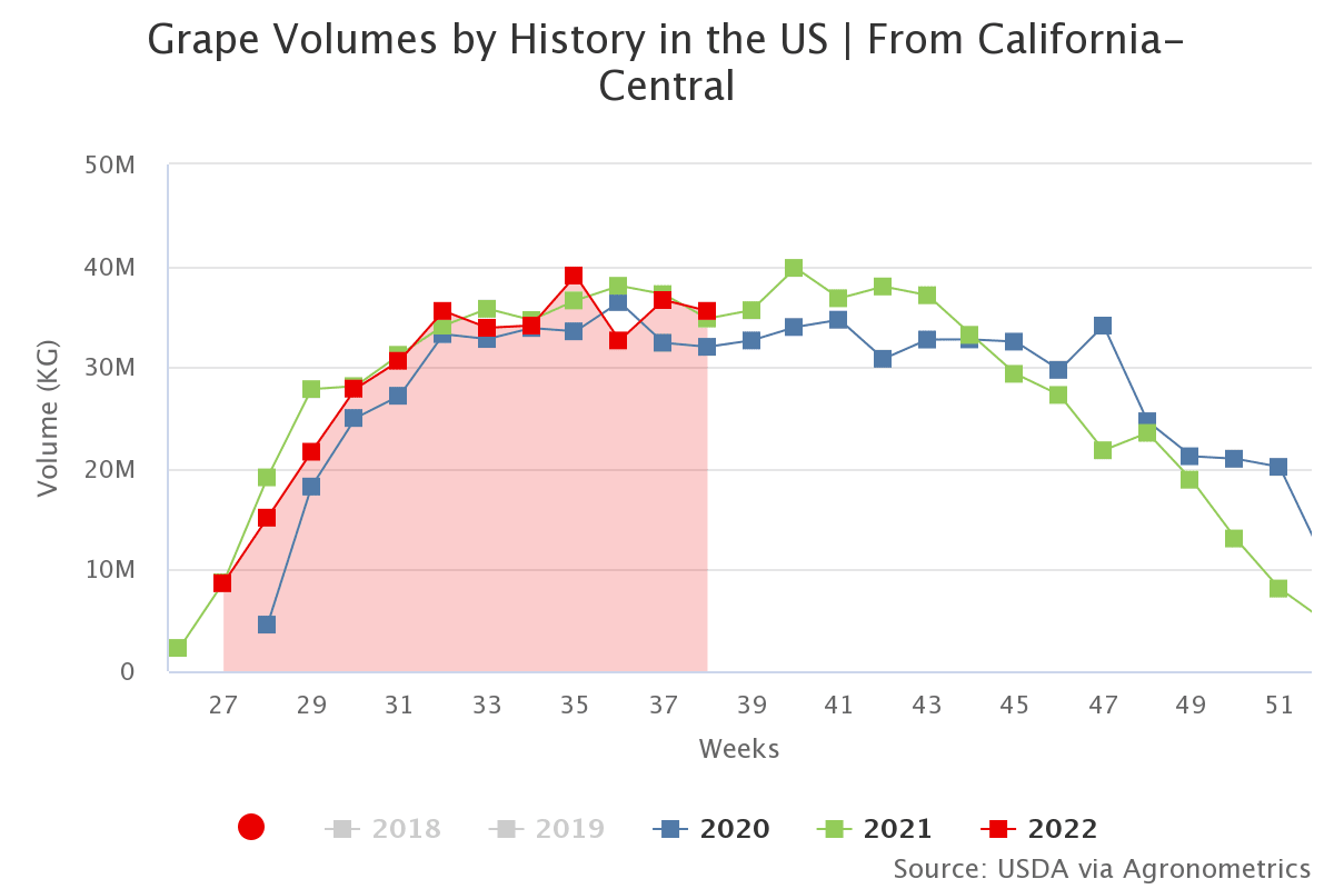 grape volumes by history 13